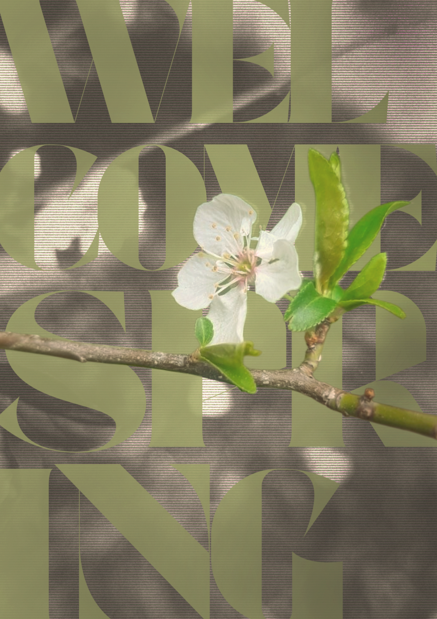 Flyer design 7